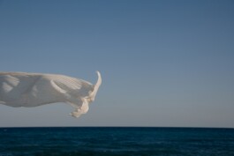 Laura Soler. Tapiz de Mar. Diario visual, ensayo fotográfico