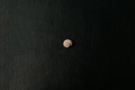 Laura Soler. Fotografía Terapéutica. Autorretrato. Gestalt